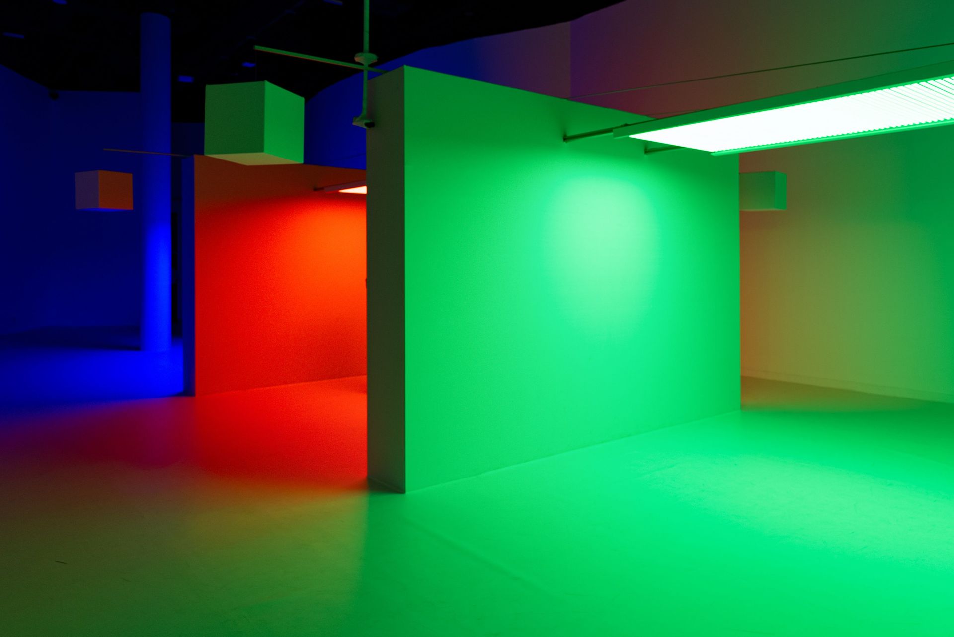 Vibrant room with blue, red, and green lighting creating a modern artistic ambiance.